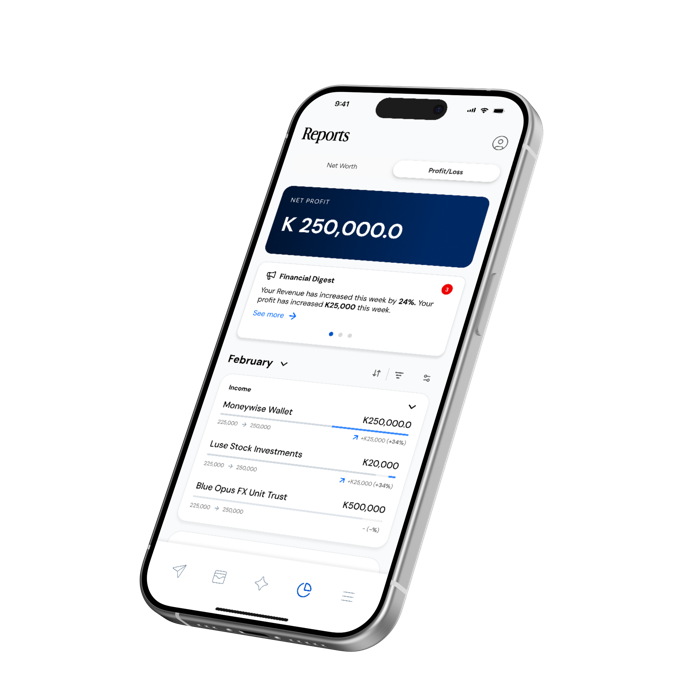 Moneywise automatic reports screen