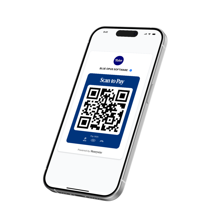 Moneywise scan-to-pay QR code screen
